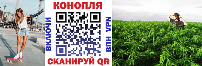 Где купить наркоту Мосальск ГАШ  МАРИХУАНА  АМФ  СОЛЬ  Меф мяу мяу  Кодеин  Cocaine 