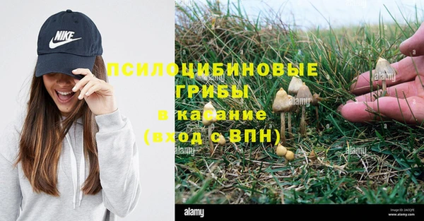 Альфа ПВП Богородск