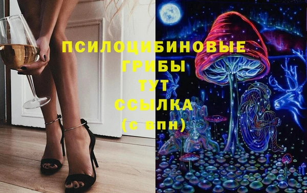 бутират Богородицк